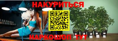 крисы Бердск