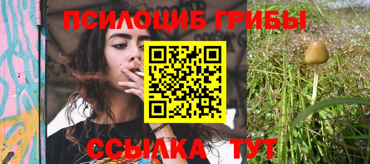 Псилоцибиновые грибы Psilocybine cubensis  Галлюциногенные грибы MAGIC MUSHROOMS  Вход с VPN  Спасск-Дальний 
