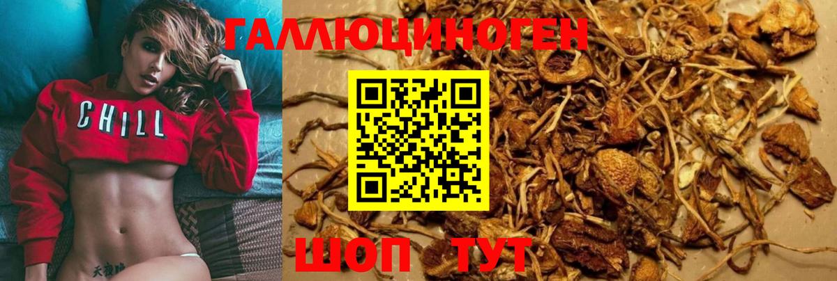 Галлюциногенные грибы GOLDEN TEACHER Спасск-Дальний